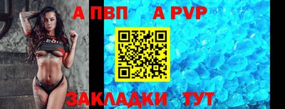 амф Донской